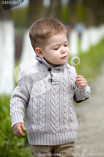 Image of 2 years old Baby boy with dandelion