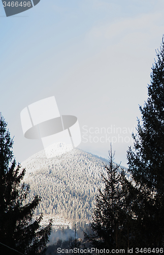 Image of Winter Carpathians.
