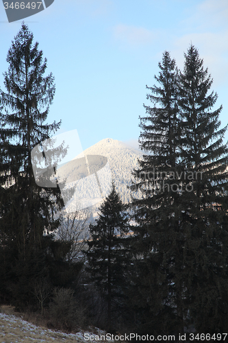 Image of Winter Carpathians.