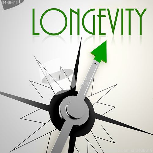 Image of Longevity on green compass