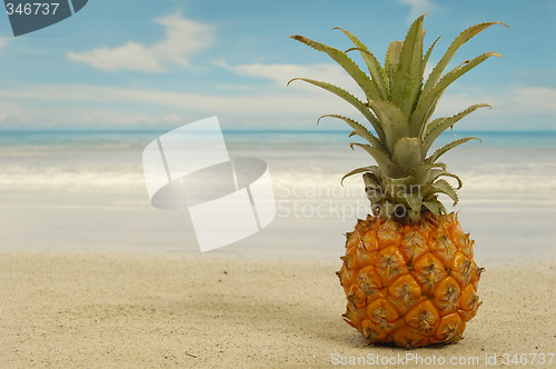 Image of Pineapple and exotic beach