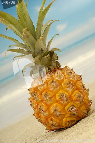 Image of Pineapple and exotic beach