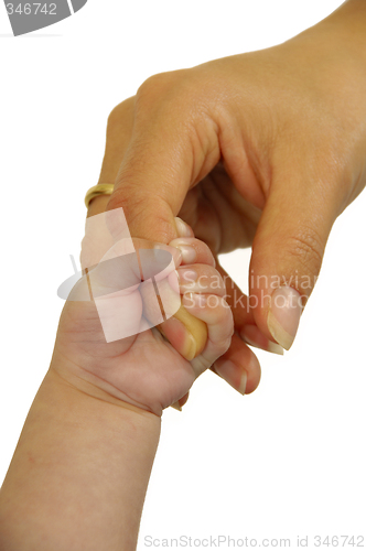 Image of Baby and mothers hand