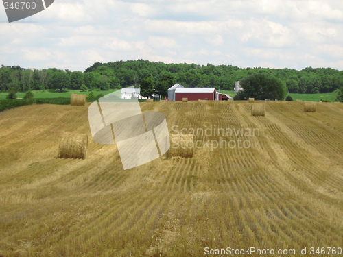 Image of Ohio Farmland