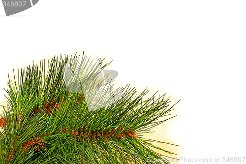 Image of Needles landscape