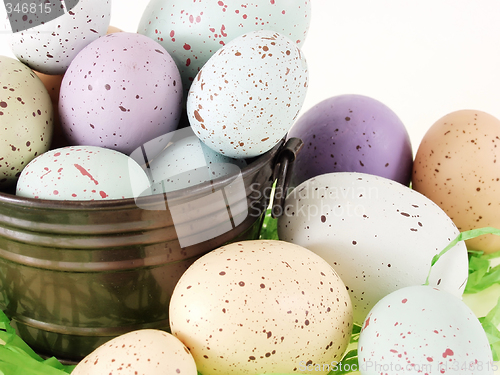 Image of Pastel Flecked Eggs in a Pail