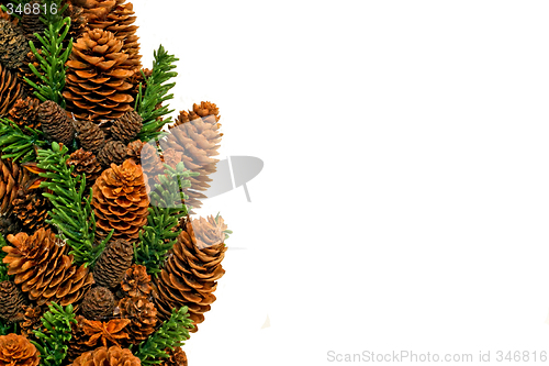 Image of Pinecone landscape