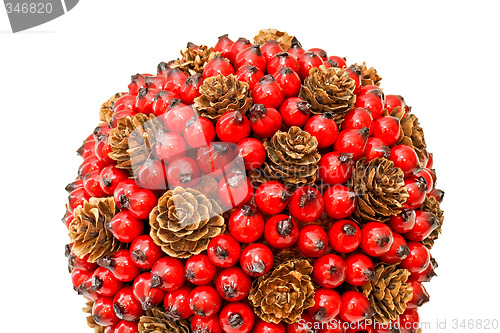 Image of Berry and cones