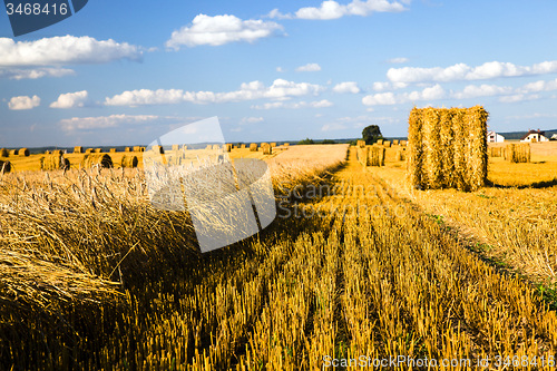 Image of  harvest company