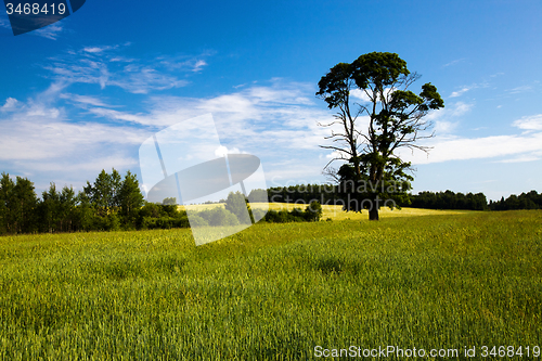 Image of agricultural field  