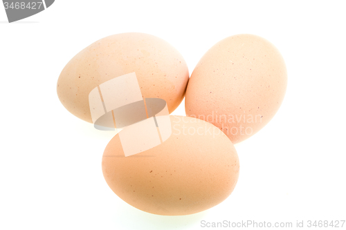Image of three chicken eggs  