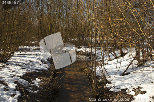 Image of streamlet in the winter  