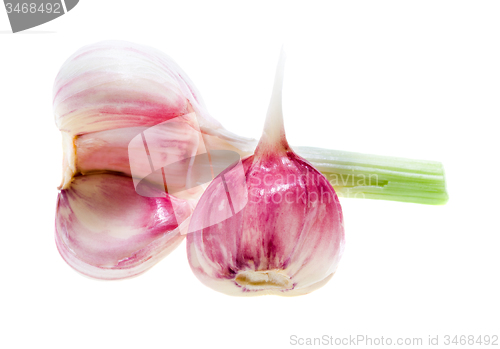 Image of  garlic. isolated  