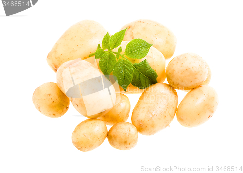 Image of new potatoes 