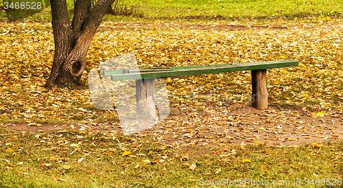 Image of old bench. autumn 