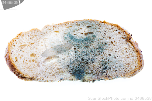 Image of mold on food 