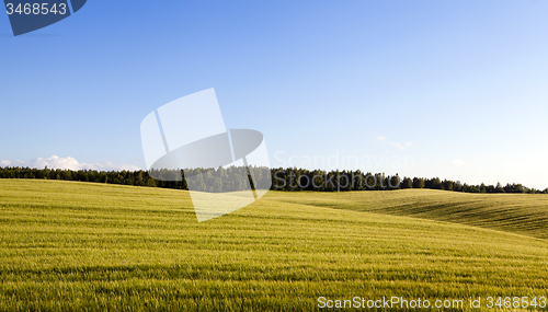 Image of agricultural field 