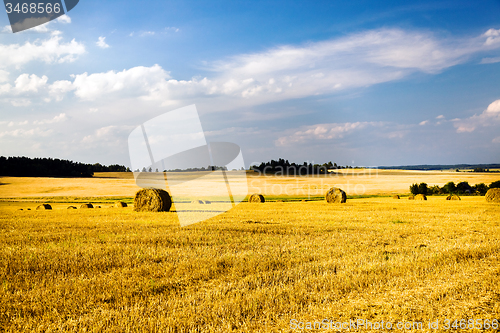 Image of  harvest company