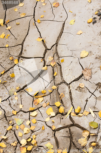 Image of the fissured earth  