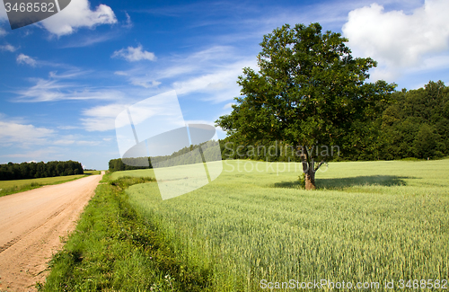 Image of   rural road