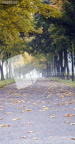 Image of  road autumn