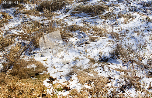 Image of grass under snow  