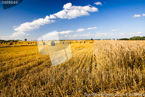 Image of  harvest company