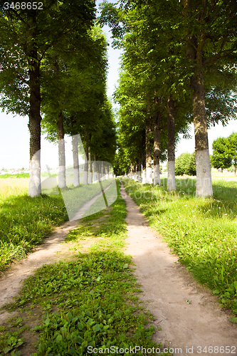 Image of   rural road