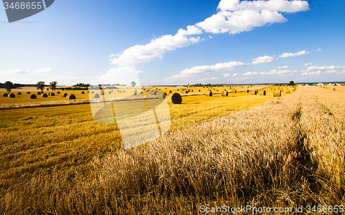 Image of  harvest company