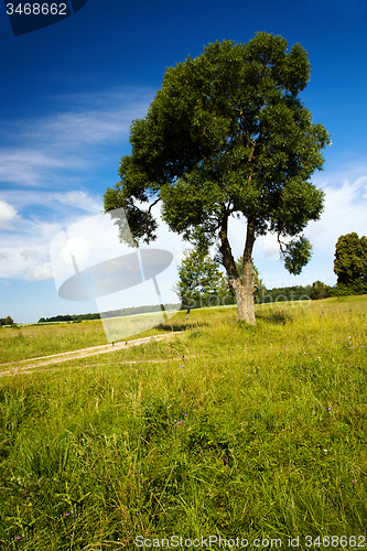 Image of the rural road  