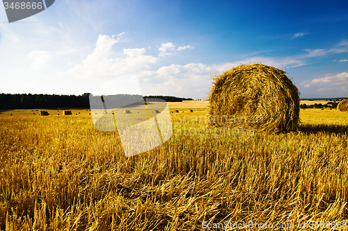 Image of  harvest company