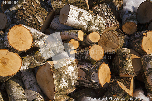 Image of put firewood  