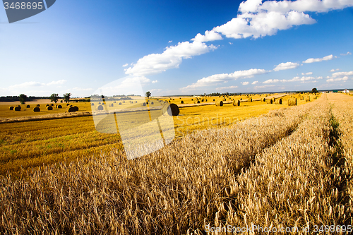 Image of  harvest company