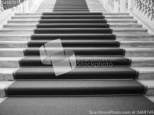 Image of Black and white Red carpet