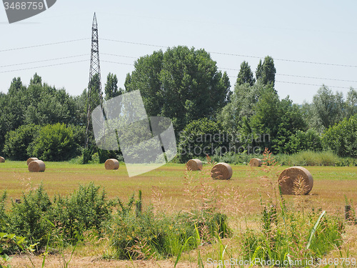 Image of Hay bale