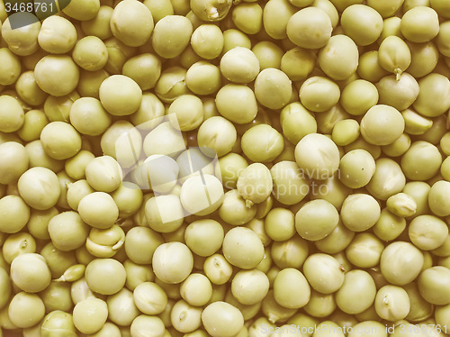 Image of Retro looking Green peas vegetable background