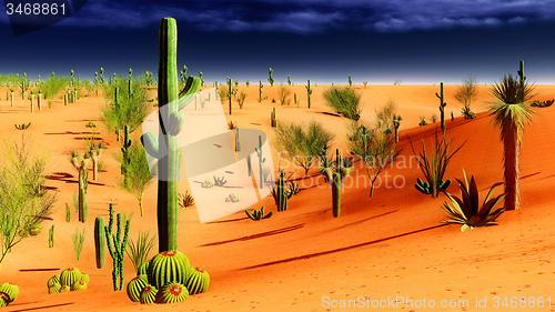 Image of American desert