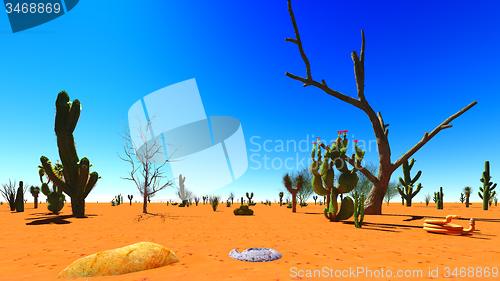 Image of American desert