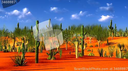 Image of American desert