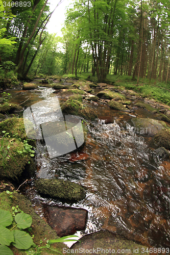 Image of river in the spring forest