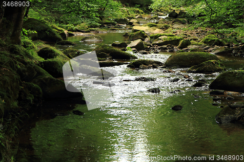 Image of river in the spring forest