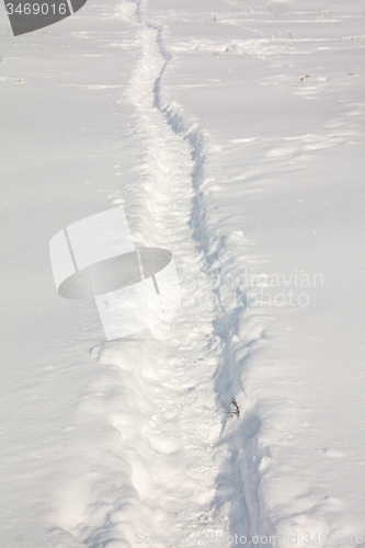 Image of track snow human