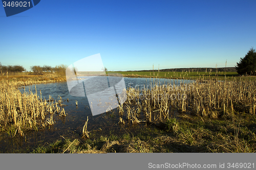 Image of bog. fall  