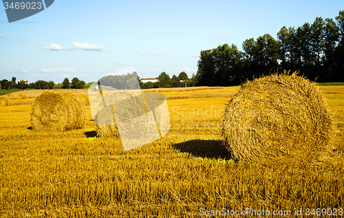 Image of  harvest company