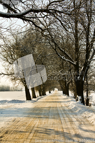 Image of  road winter