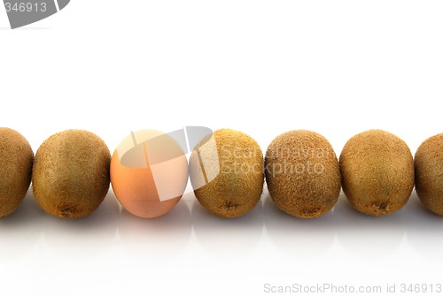 Image of One egg in a row of kiwis