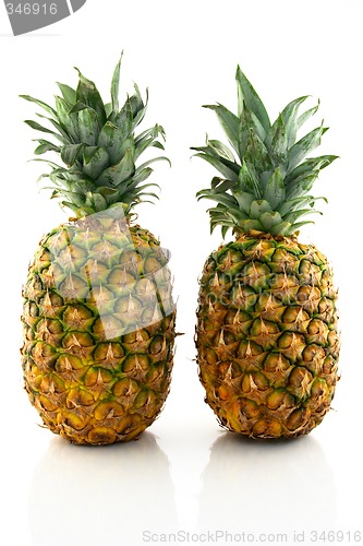 Image of Two ripe pineapples