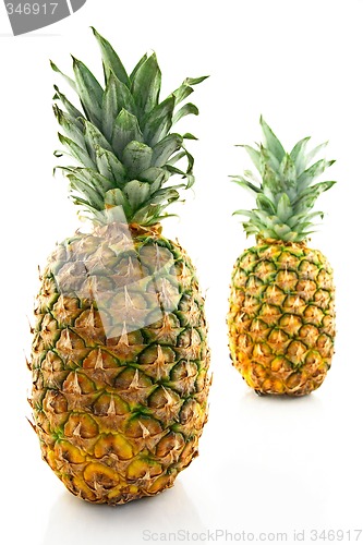 Image of Two ripe pineapples, focus on the closest one