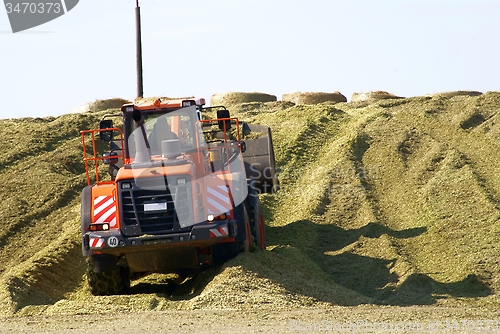 Image of wheel loader
