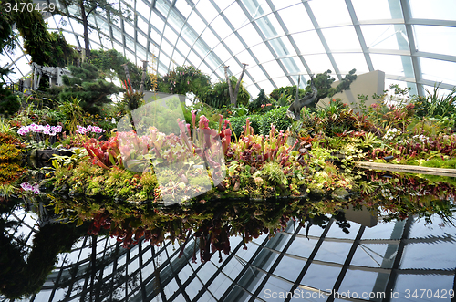 Image of Cloud Forest at Gardens by the Bay in Singapore